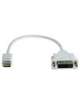 CAVO SPINA MINI DVI PRESA DVI  30CM