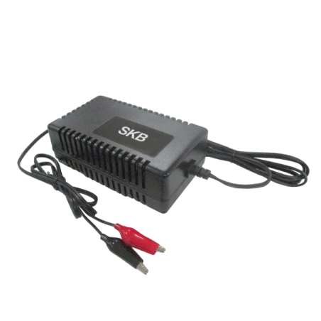 CARICA BATTERIE SWITCHING PER BATTERIE AL PIOMBO
