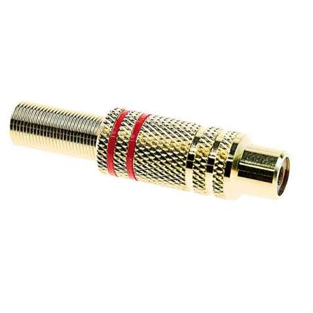 PRESA RCA ROSSA METALLICA DORATA VOL.CON GUID.6M
