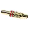 PRESA RCA ROSSA METALLICA DORATA VOL.CON GUID.6M