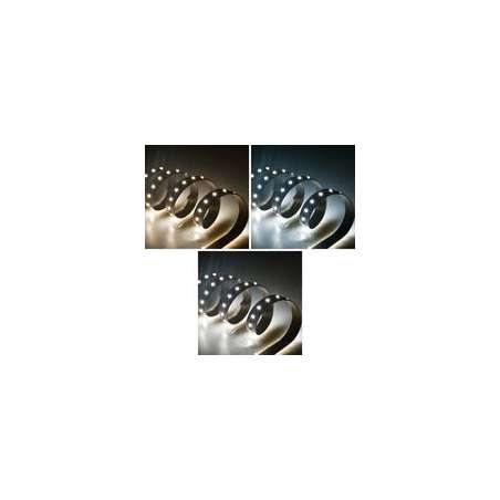 STRISCIA LED TRICOLOR 24V 19,4W/M IP20 LUCE C.F.N.
