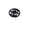 STRISCIA LED 24V 24W/M IP20 LUCE FREDDA 6000K