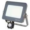 FARO LED 30W 6500K LUCE FREDDA IP65 CON SENSORE