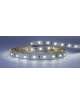 STRISCIA LED 12V 4,8W/M IP20 LUCE CALDA 6500K
