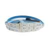 STRISCIA LED 24V 14W/M IP20 5MT RGB SMD5050
