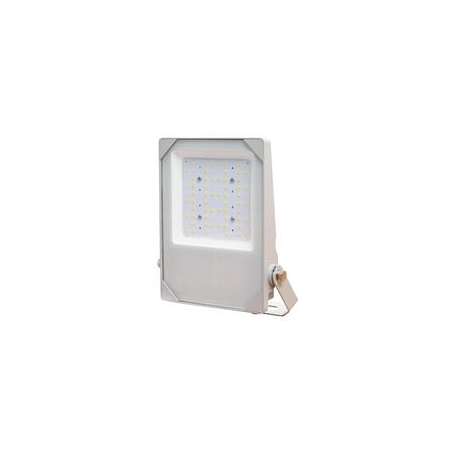 FARO DA PARETE CON LED 50W IK08 IP66 6500K