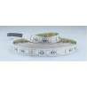 STRISCIA LED 24V 19,2W/M IP20 5050 60LED/M RGB+BIA