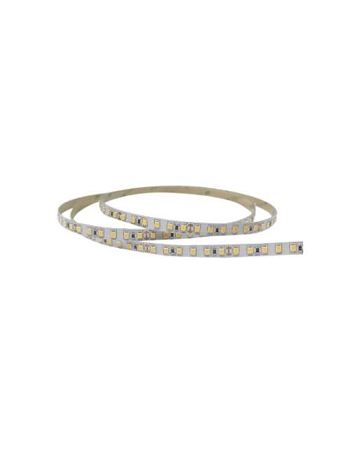 STRISCIA LED 24V 19,2W/M 5MT 240LED/M 3000K IP20