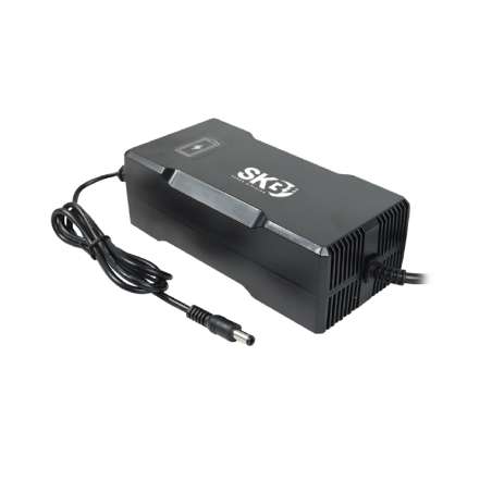 CARICABATTERIE SWITCHING PER BATTERIE LI-ION 24V