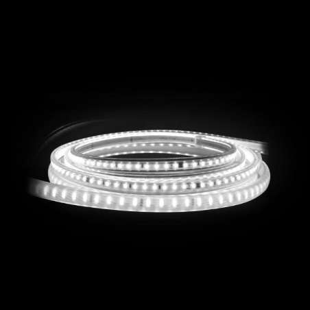 STRISCIA LED 50MT. 220V 8W/MT. 120LED/MT. 5700K