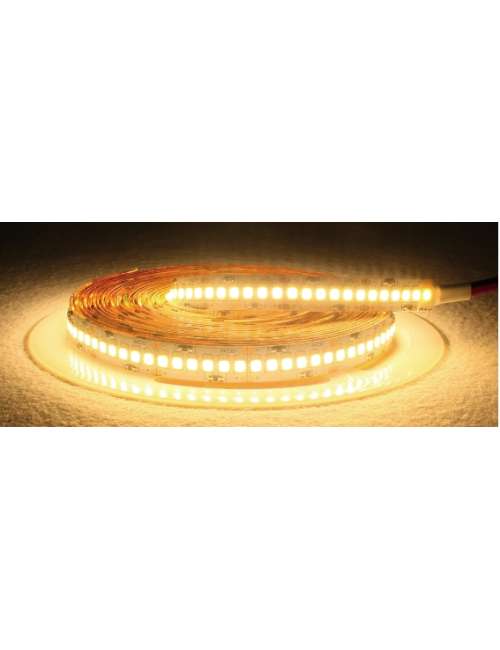 STRISCIA LED 24V 12W/M IP20 LUCE CALDA 3000K