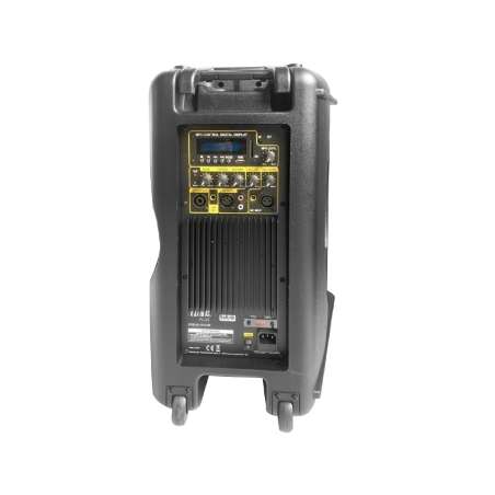 CASSA AMPLIFICATA CON BLUETOOTH/USB/SD 360W