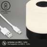 LAMPADA DA TAVOLO A BATTERIA 2W 150LM CROMATO