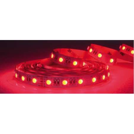 STRISCIA LED 24V 19,2W/M IP20 5050 60LED/M RGB+BIA